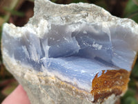 Natural Blue Lace Agate Geode Specimens x 3 From Malawi