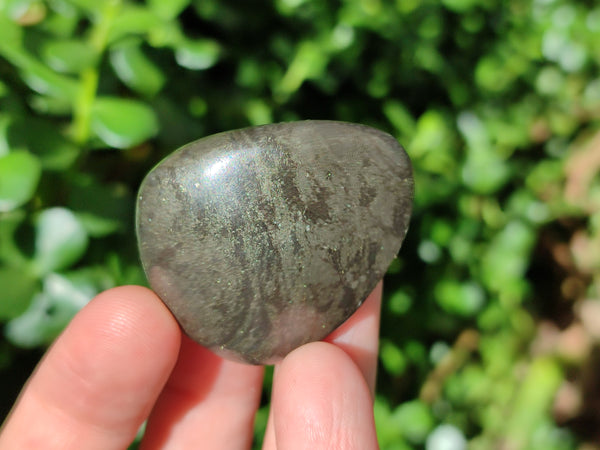 Polished Pharaoh Stone Free Forms x 12 From Zimbabwe