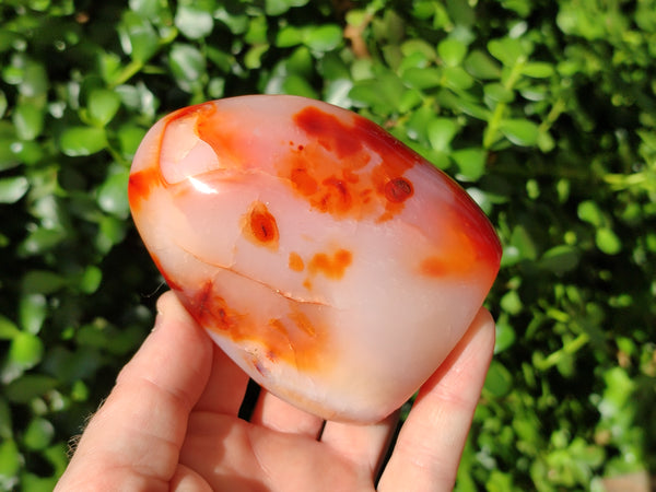 Polished Carnelian Standing Free Forms x 4 From Madagascar