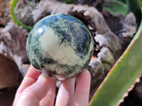 Polished Leopard Stone Eggs x 4 From Zimbabwe