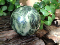 Polished Leopard Stone Eggs x 4 From Zimbabwe