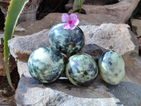 Polished Leopard Stone Eggs x 4 From Zimbabwe