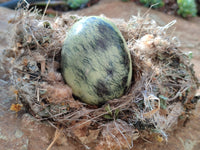 Polished Leopard Stone Eggs x 4 From Zimbabwe