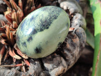 Polished Leopard Stone Eggs x 4 From Zimbabwe