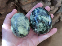 Polished Leopard Stone Eggs x 4 From Zimbabwe