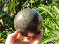 Polished Pharaoh Stone Sphere x 1 From Zimbabwe