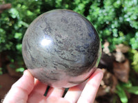 Polished Pharaoh Stone Sphere x 1 From Zimbabwe