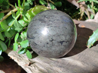 Polished Pharaoh Stone Sphere x 1 From Zimbabwe