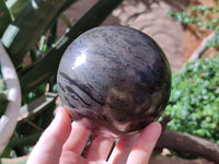 Polished Pharaoh Stone Sphere x 1 From Zimbabwe