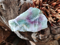 Polished On One Side Watermelon Fluorite x 12 From Uis, Namibia