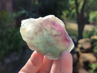 Polished On One Side Watermelon Fluorite x 12 From Uis, Namibia