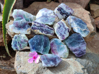 Polished On One Side Watermelon Fluorite x 12 From Uis, Namibia