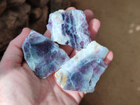 Polished On One Side Watermelon Fluorite x 12 From Uis, Namibia