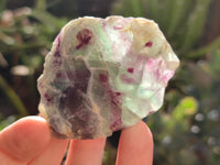 Polished On One Side Watermelon Fluorite x 12 From Uis, Namibia