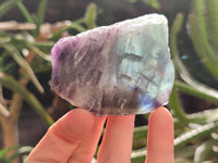 Polished On One Side Watermelon Fluorite x 12 From Uis, Namibia