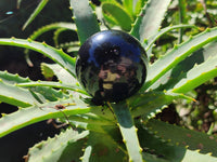 Polished Black Basalt Spheres x 12 From Madagascar