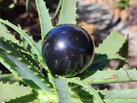 Polished Black Basalt Spheres x 12 From Madagascar