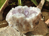 Natural Jacaranda Amethyst Quartz Clusters x 2 from Mumbwa, Zambia