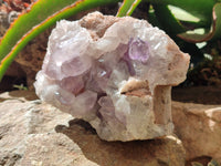 Natural Jacaranda Amethyst Quartz Clusters x 2 from Mumbwa, Zambia