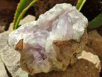 Natural Jacaranda Amethyst Quartz Clusters x 2 from Mumbwa, Zambia