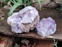 Natural Jacaranda Amethyst Quartz Clusters x 2 from Mumbwa, Zambia