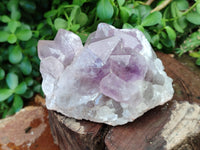 Natural Jacaranda Amethyst Quartz Clusters x 2 from Mumbwa, Zambia