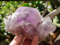 Natural Jacaranda Amethyst Quartz Clusters x 2 from Mumbwa, Zambia