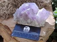 Natural Jacaranda Amethyst Quartz Clusters x 2 from Mumbwa, Zambia