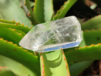 Polished Clear Quartz Crystals x 12 From Madagascar