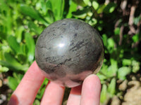 Polished Pharaoh Stone Spheres x 3 From Zimbabwe