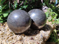 Polished Pharaoh Stone Spheres x 3 From Zimbabwe