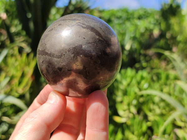 Polished Pharaoh Stone Spheres x 3 From Zimbabwe