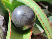 Polished Pharaoh Stone Spheres x 3 From Zimbabwe