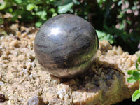 Polished Pharaoh Stone Spheres x 3 From Zimbabwe