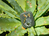 Polished Polychrome Jasper Pendant with Hand Painted Zebras - sold per item - From Madagascar