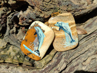 Polished Picture Stone Pendant with Hand Painted Dolphin - Sold Per Item - From Namibia