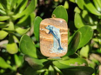 Polished Picture Stone Pendant with Hand Painted Dolphin - Sold Per Item - From Namibia