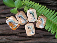 Polished Picture Stone Pendant with Hand Painted Dolphin - Sold Per Item - From Namibia