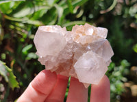 Natural Amethyst Spirit Quartz Clusters x 20 From Boekenhouthoek, South Africa