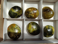 Polished Green Opal Palm Stones x 6 From Madagascar