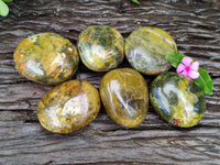 Polished Green Opal Palm Stones x 6 From Madagascar