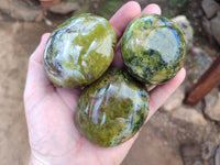 Polished Green Opal Palm Stones x 6 From Madagascar