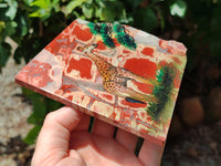 Hand Made Animal Decoupage Stone Slabs x 6 From Southern Africa