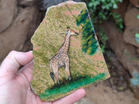 Hand Made Animal Decoupage Stone Slabs x 6 From Southern Africa