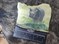 Hand Made Animal Decoupage Stone Slabs x 6 From Southern Africa