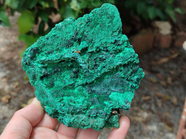 Natural Silky Malachite Specimens x 5 From Kasompe, Congo