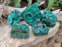 Natural Silky Malachite Specimens x 5 From Kasompe, Congo