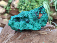 Natural Silky Malachite Specimens x 5 From Kasompe, Congo