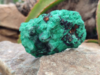 Natural Silky Malachite Specimens x 5 From Kasompe, Congo