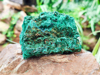 Natural Silky Malachite Specimens x 5 From Kasompe, Congo